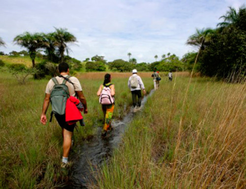 Próximas Rutas