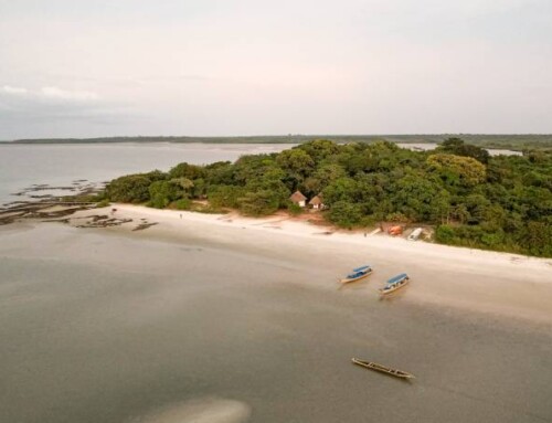 El paraíso africano que el mundo ya reconoce como Patrimonio Natural de la Humanidad